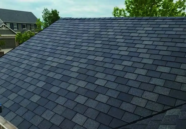 roof