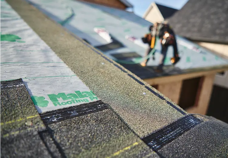 roof